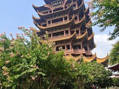 -黄鹤楼公园(黄鹤楼)