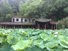 -富乐山