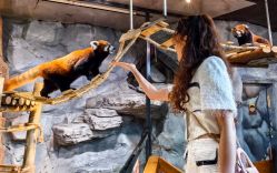 -Zoolung Zoolung动物主题公园(海信广场店)