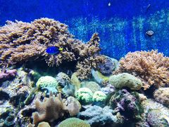 -珠海长隆海洋王国