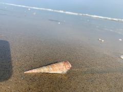 -东海岛旅游度假区