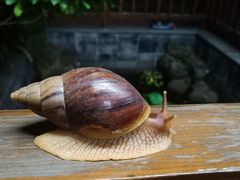 -海南大院(海甸岛店)