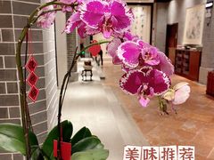 -龙悦湾酒家·八阵鱼生·渔人码头店