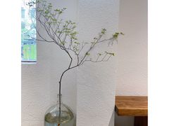 -Kekimatata 生日蛋糕·烘焙教学