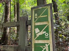 -天目山大树王景区