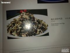 20100312209-鸭王烤鸭店(三里河店)