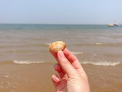-天津东疆湾沙滩景区