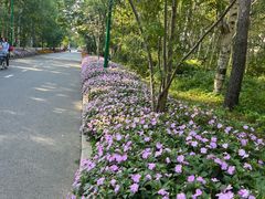 -黑龙江省森林植物园