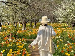 -名花谷生态庄园