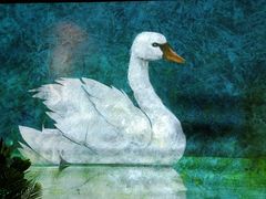-成都银泰中心in99
