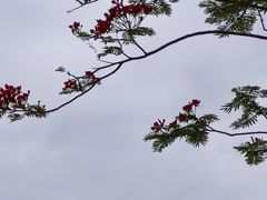 -深圳大学(丽湖校区)