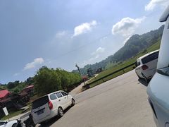 -关山草原