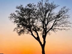 -东钱湖旅游度假区