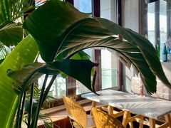 -the rug 飞毯 (朝阳公园店)