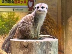 -正佳雨林生态植物园
