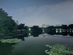 -荔枝公园(福田区)