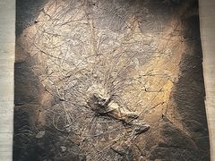 -浙江自然博物院(杭州馆)