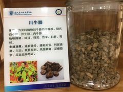 -浙江省立同德医院(翠苑院区)