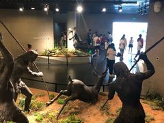 -北京周口店北京人遗址博物馆