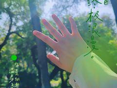 -北陵公园