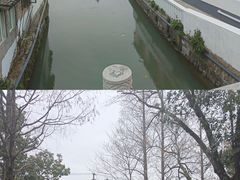 -金泽古镇