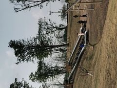 -铁山坪森林公园