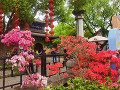 -惠山古镇·寄畅园