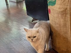 -花与咖啡馆(金星楼店)