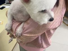 -天宠宠物医院24小时·急重症诊疗中心·全科·腔镜特色(和平分院)