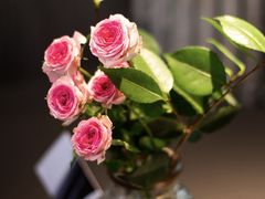 -外滩三号餐厅·创意中餐