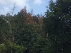 景点-山湖温泉