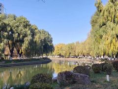 -北陵公园