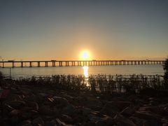 -宝安西湾红树林湿地公园