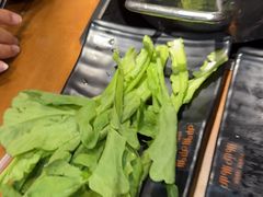 -呷哺呷哺(常营华联店)