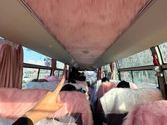 -松雷商业(南岗店)