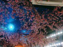 -荷塘秋月·本帮江浙菜(国权路店)