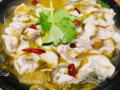 砂锅酸菜乌鱼片-陶德砂锅(蜀汉路店)