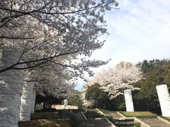 -杭州少年儿童公园