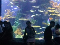 景点-多彩贵州城极地海洋世界