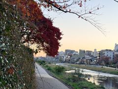 -四条大桥