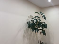 -HEYAN荷妍专业脱毛连锁机构