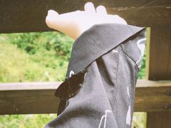 -野象谷景区