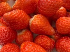 -南理工夜宵美食坑