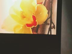 -Let’s Relax Spa(Siam Square One)