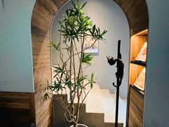 -C Cafe(朵云书院·戏剧店)
