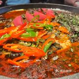 来吃探鱼啦～