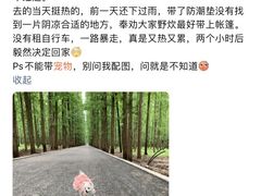 -东平国家森林公园