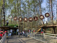 -合肥滨湖国家森林公园