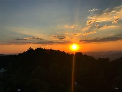 -铁山坪森林公园