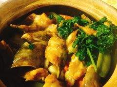-强记湛江鸡饭店·二十七年老字号(拱北店)